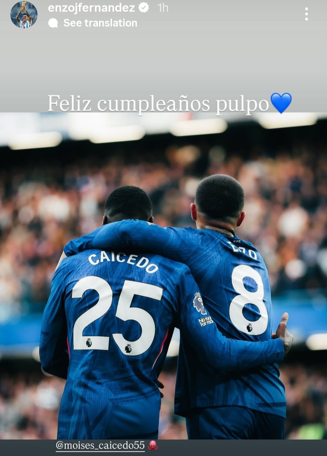 Moises Caicedo, Enzo Fernandez (Instagram)